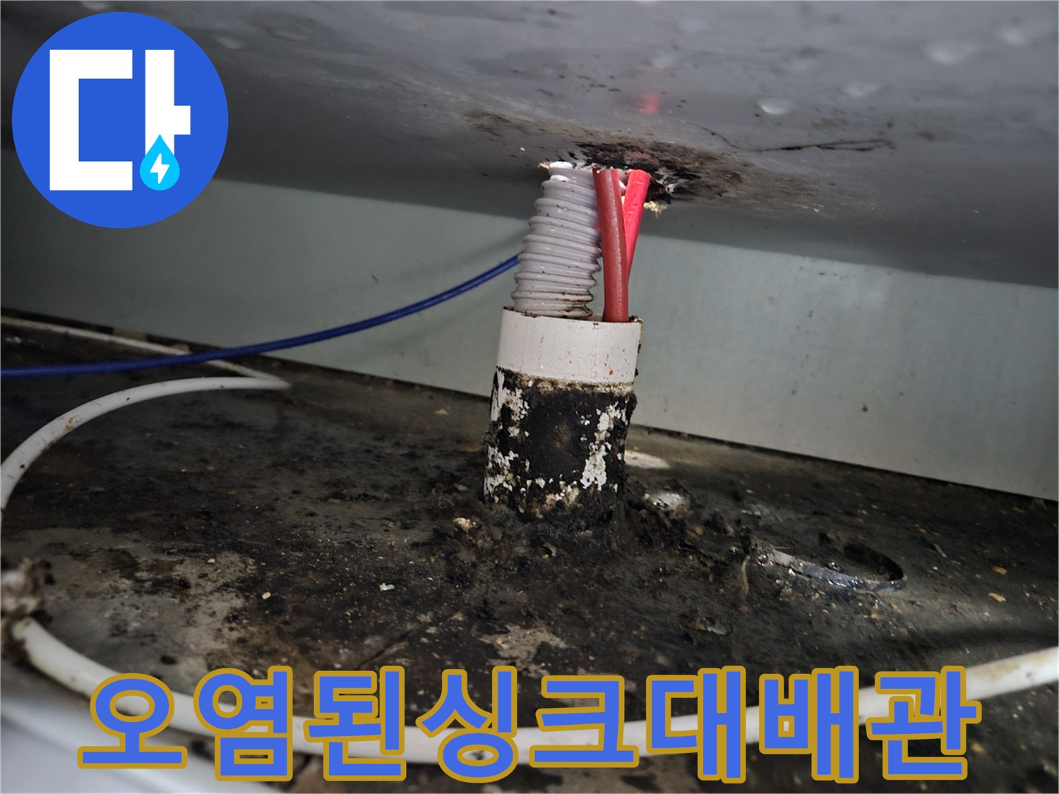 누수가-발생한-배관-주변의-오염-상태
