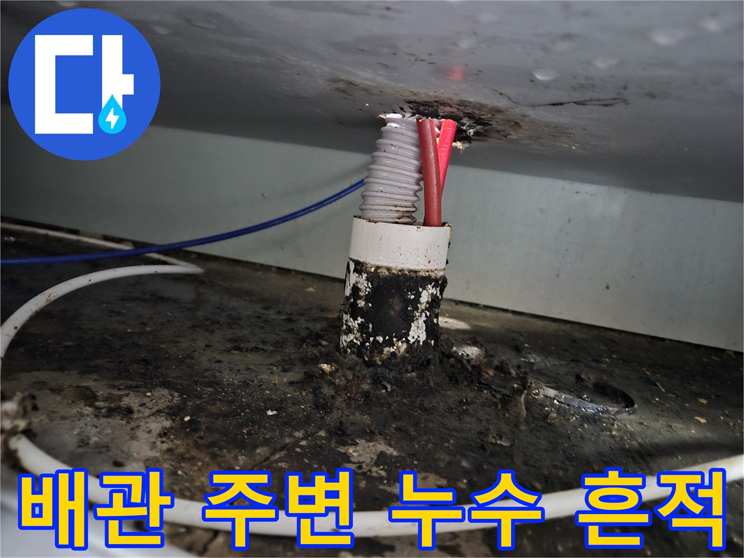 원미구 싱크대 하부-검게 변한 기름 찌꺼기와 배관 오염물