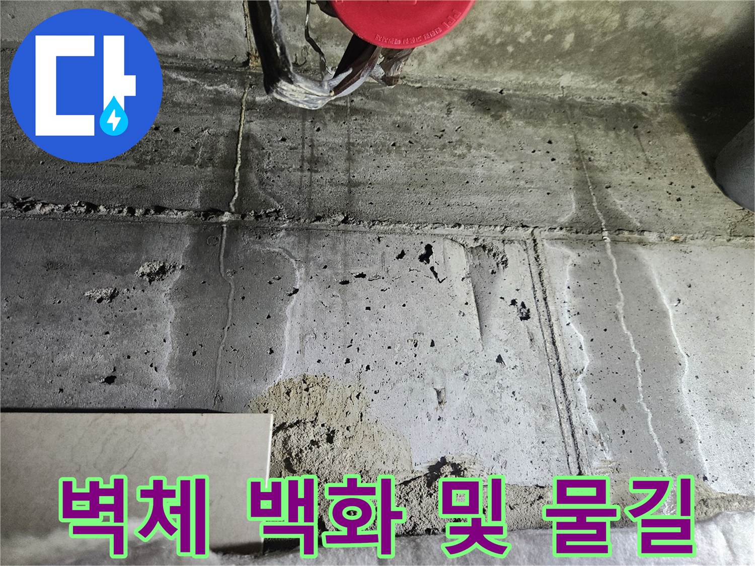 젖은-콘크리트-벽면의-누수-경로