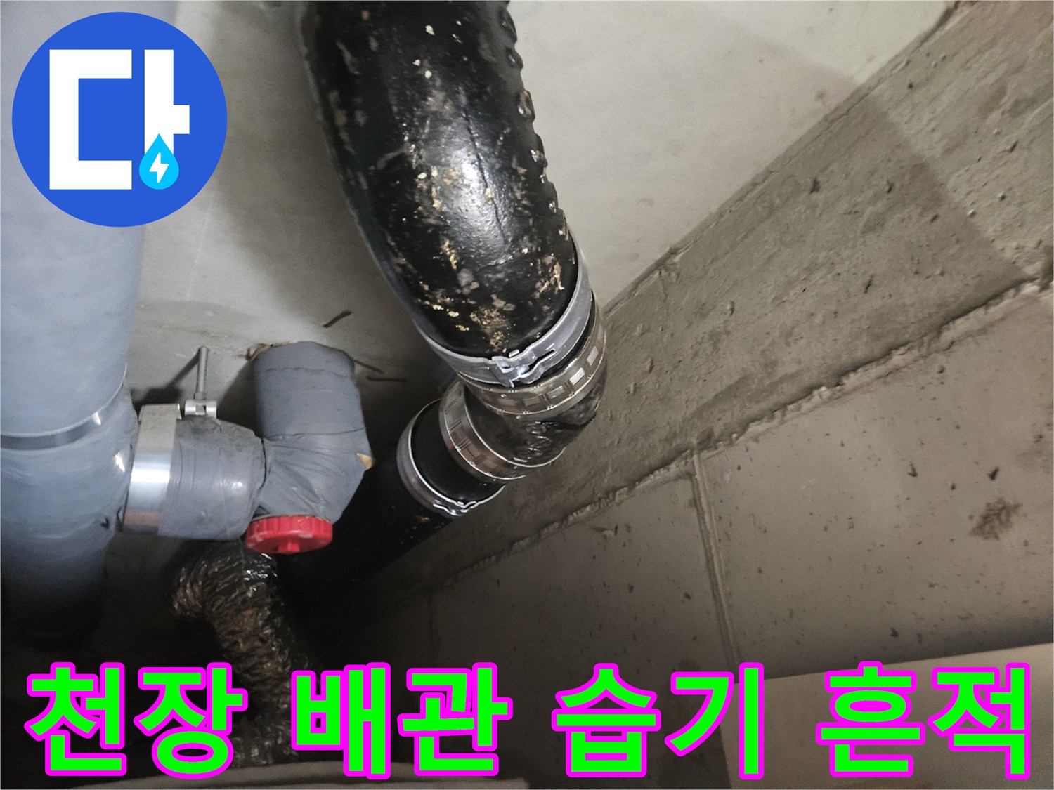 천장 내부 오수 및 배수 배관의 누수 자국 확인