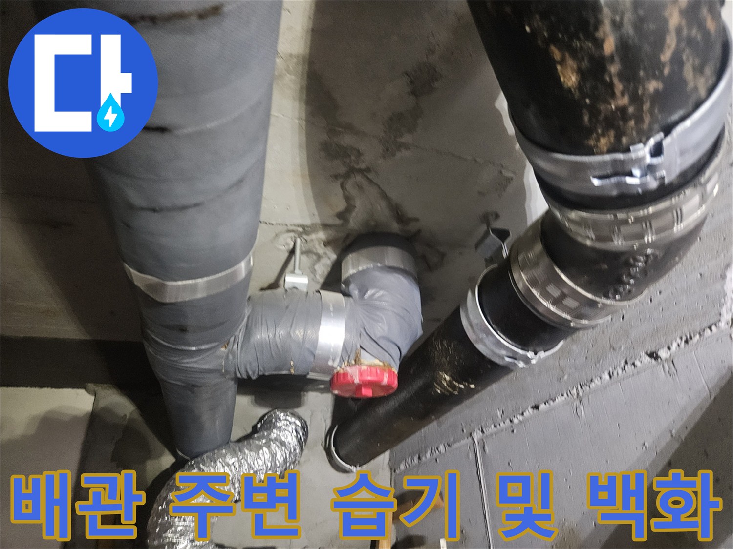 천장 배관 구조-연결 부위의 누수 흔적과 백화 현상