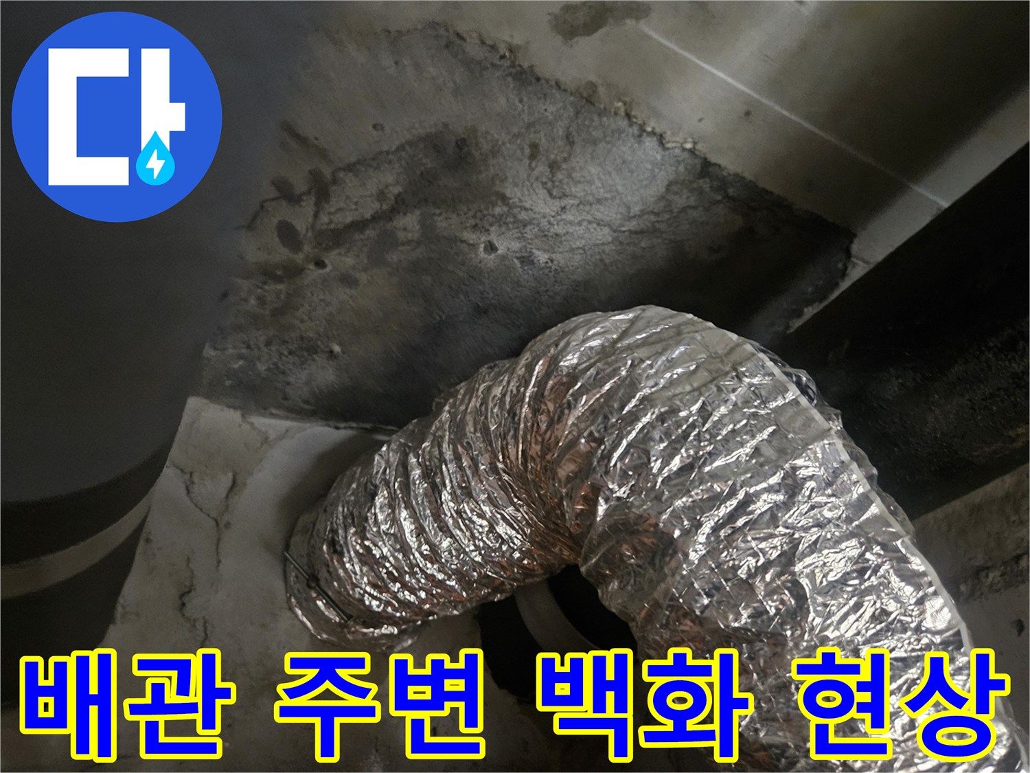 천장-배관-주변의-콘크리트-백화-및-습기-상태