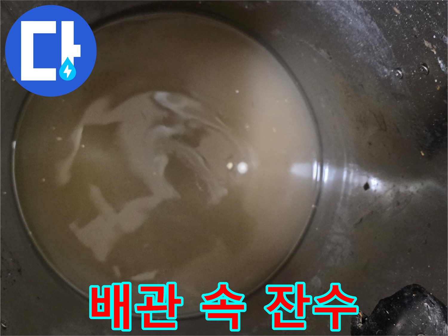 배수 통로에 고여 있는 탁한 오염수 - 배수 불량 및 역류 확인 중