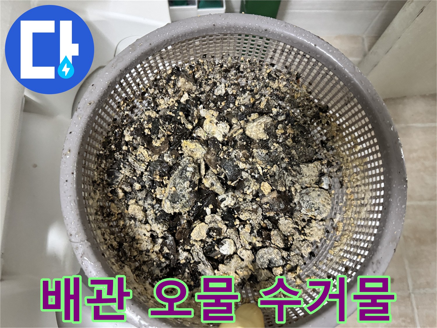 싱크대 배관에서-추출된 다량의 슬러지 덩어리