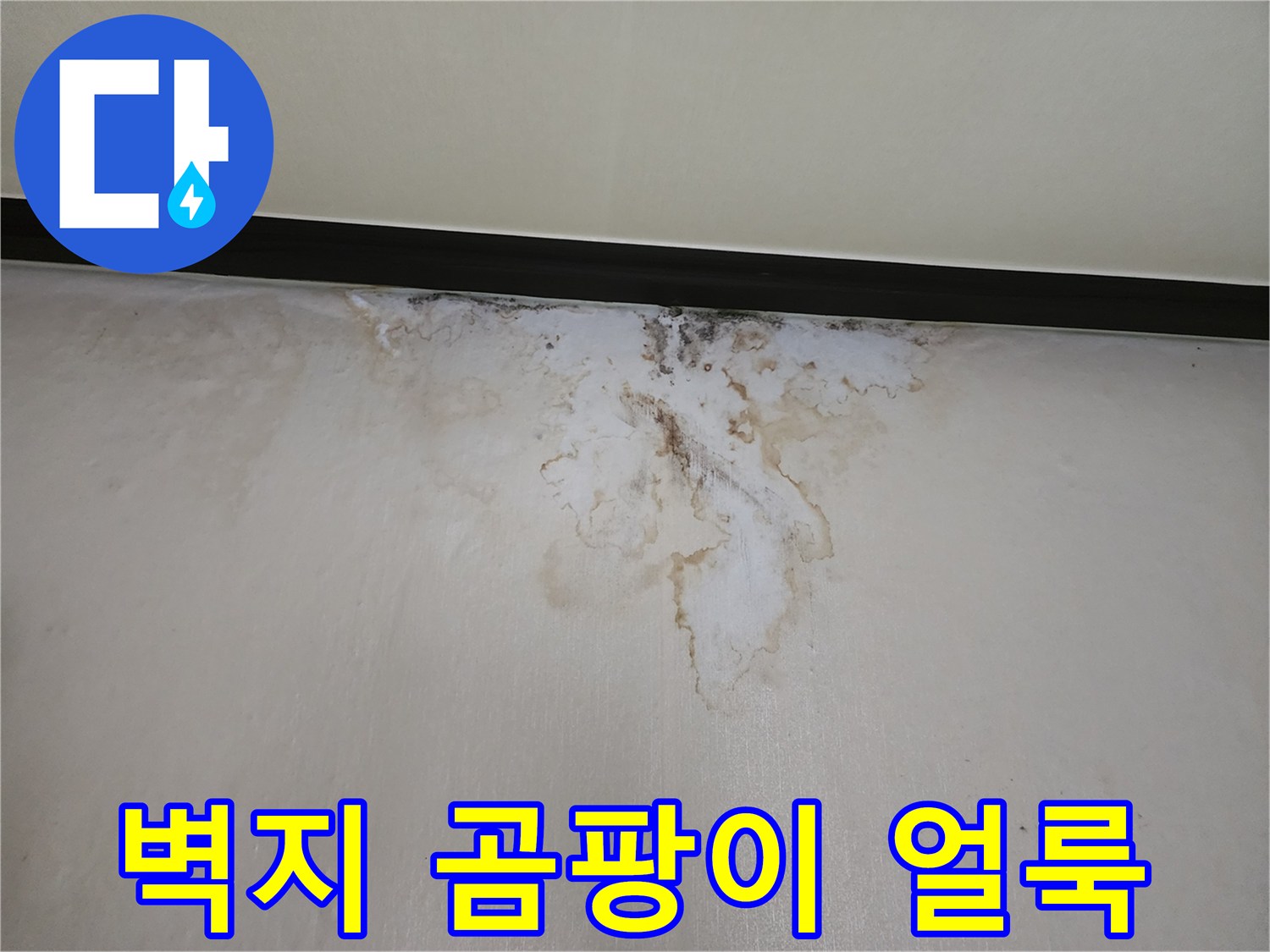 벽면 상단에 발생한 곰팡이와 누수 흔적 사진