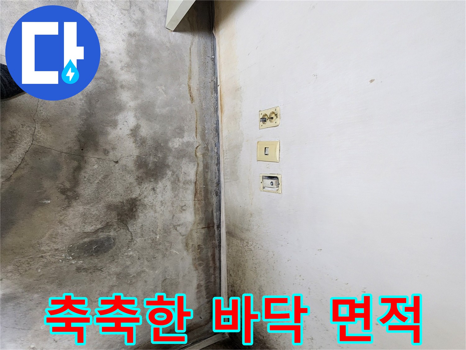 습기가 침투하여 어둡게 변한 바닥과 곰팡이 벽면