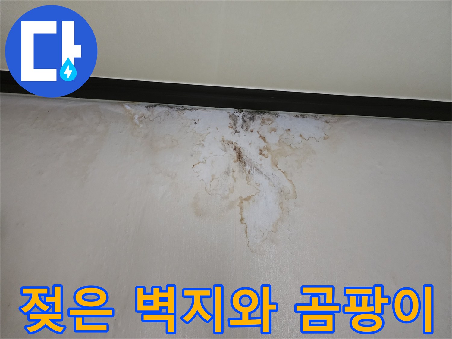 습기로 인해 갈색으로 변한 천장 벽지
