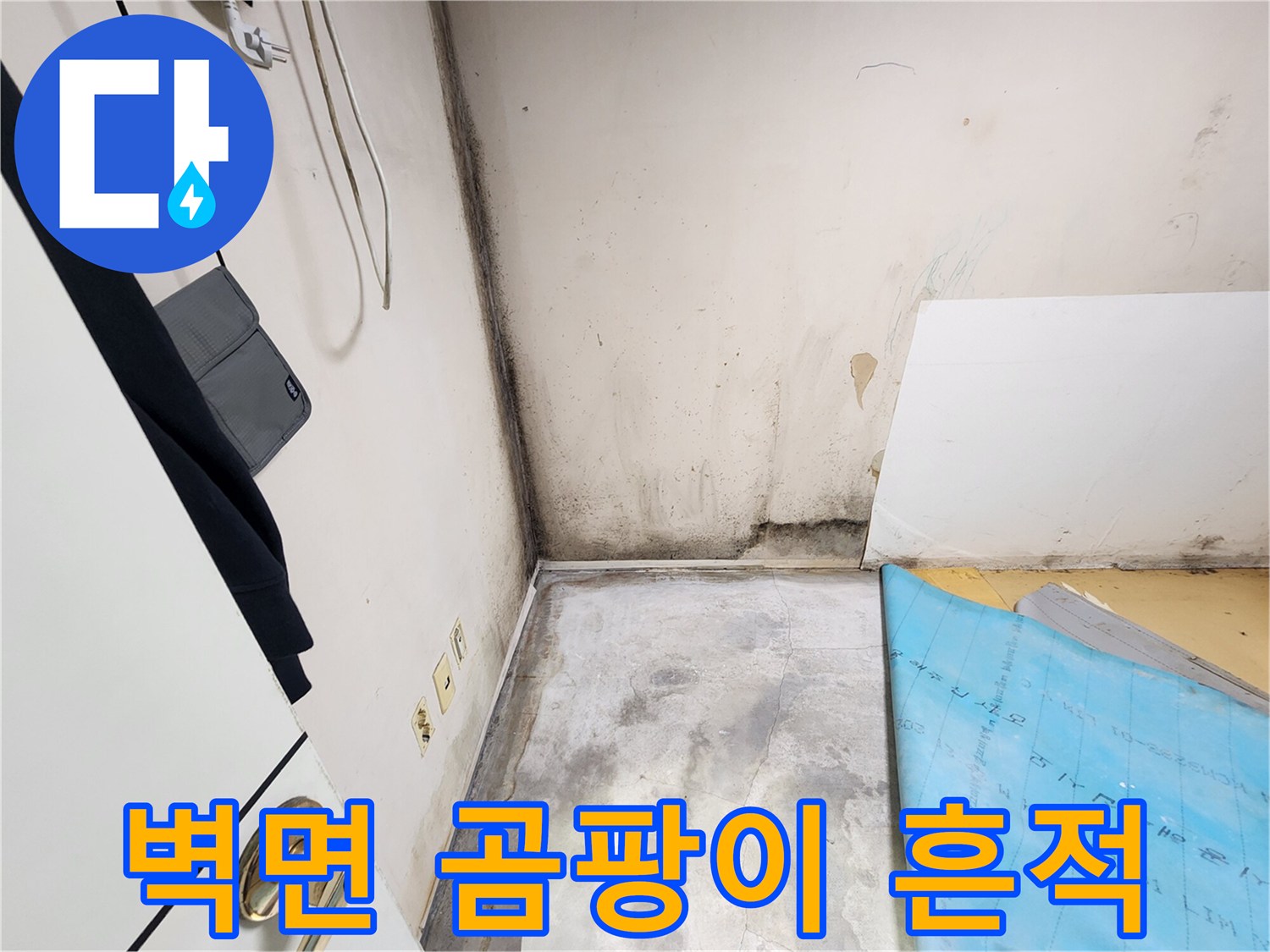 울산 학성동 현장의 벽면 곰팡이와 습기 자국
