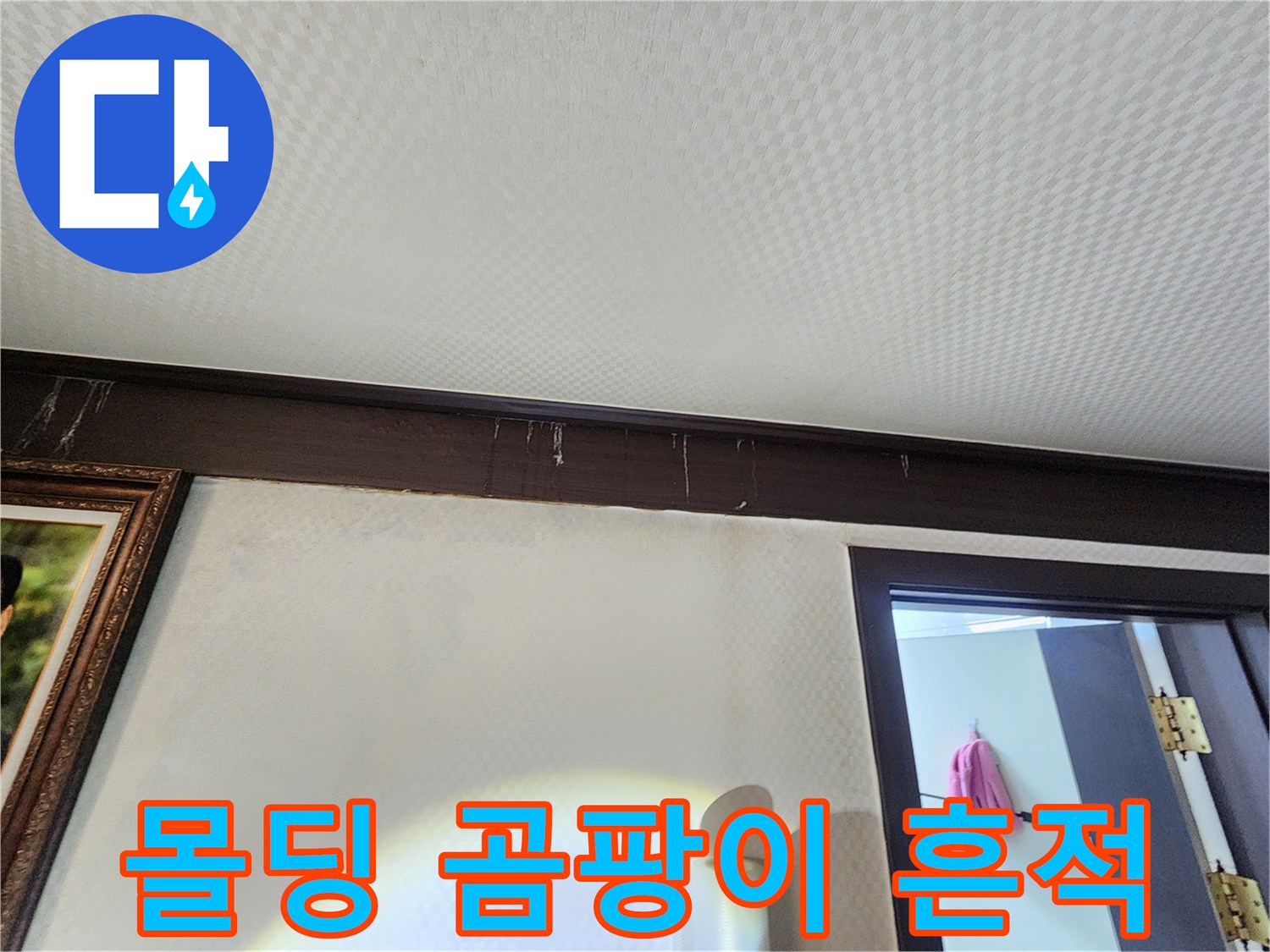 천장-몰딩-주변의-곰팡이-및-얼룩