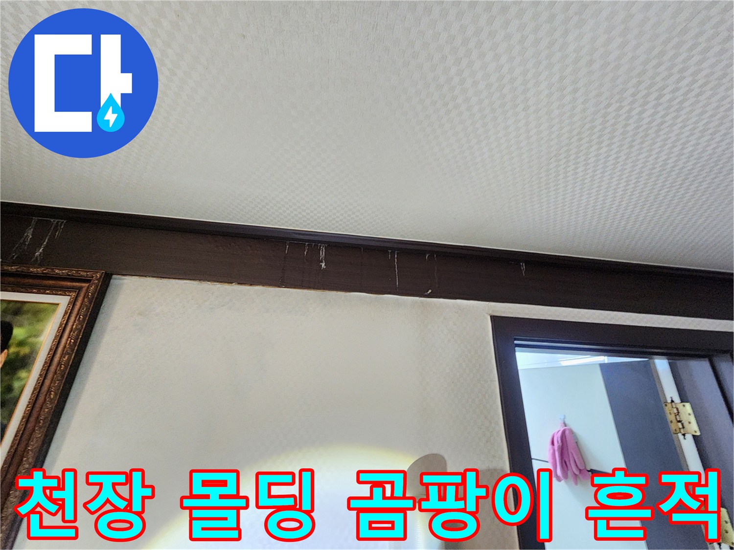 천장 몰딩 주변의 습기로 인한 곰팡이 및 변색 부위