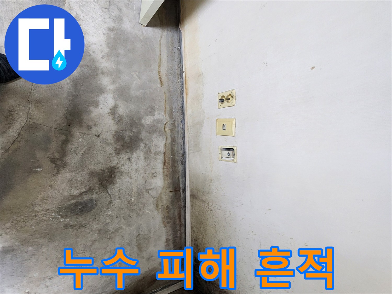 학성동 현장 기록-습기로 인해 부식된 벽면 하단부