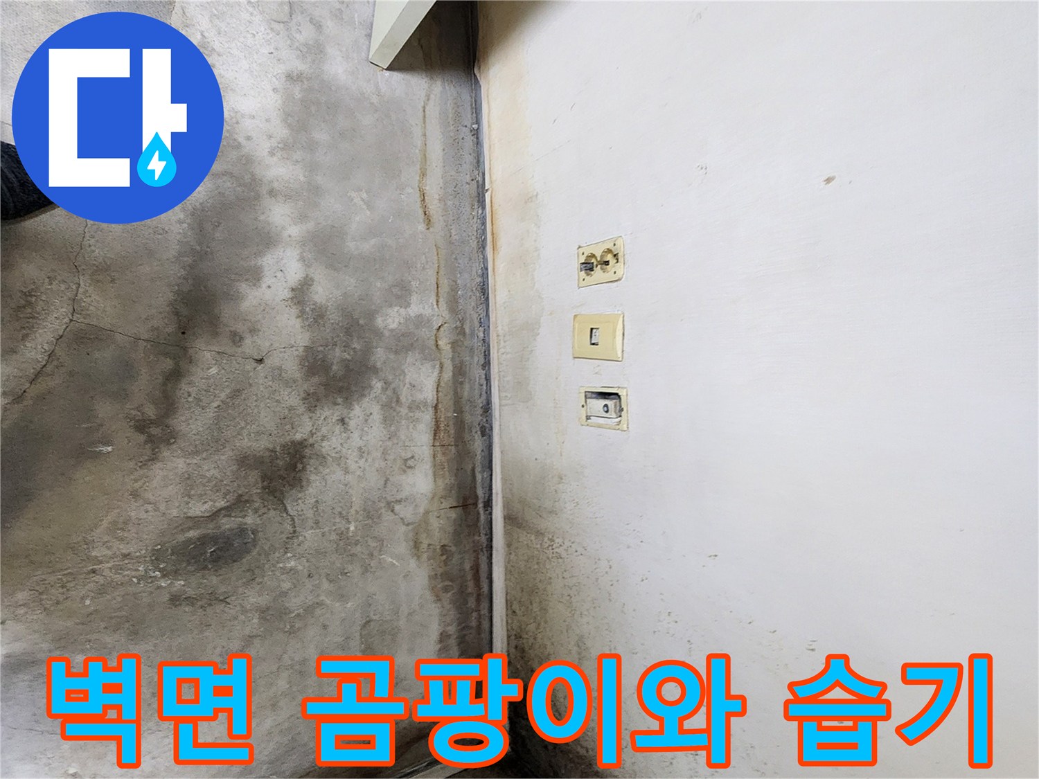 학성동 현장-벽면 하단 곰팡이 및 습기 흔적