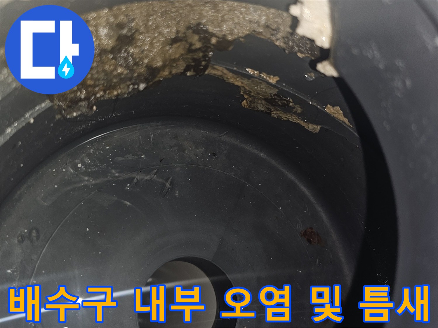 배수구-안쪽의-이물질과-벌어진-배관-사이-확인