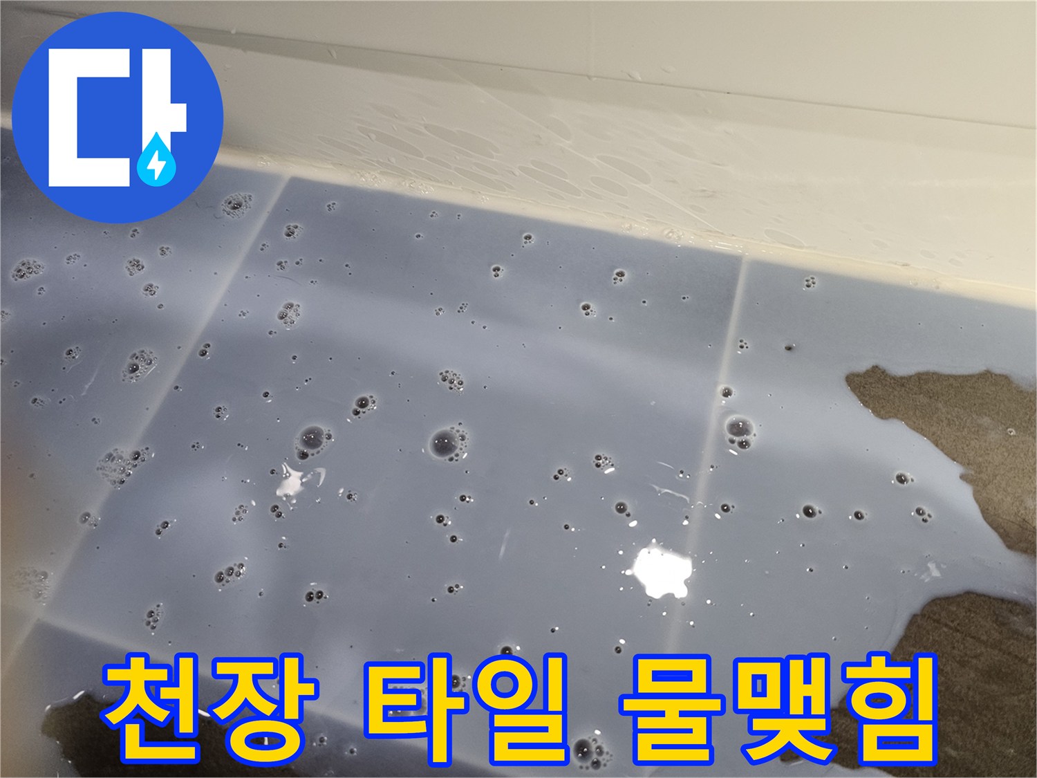 천장-타일에-맺힌-여러_개의-물방울