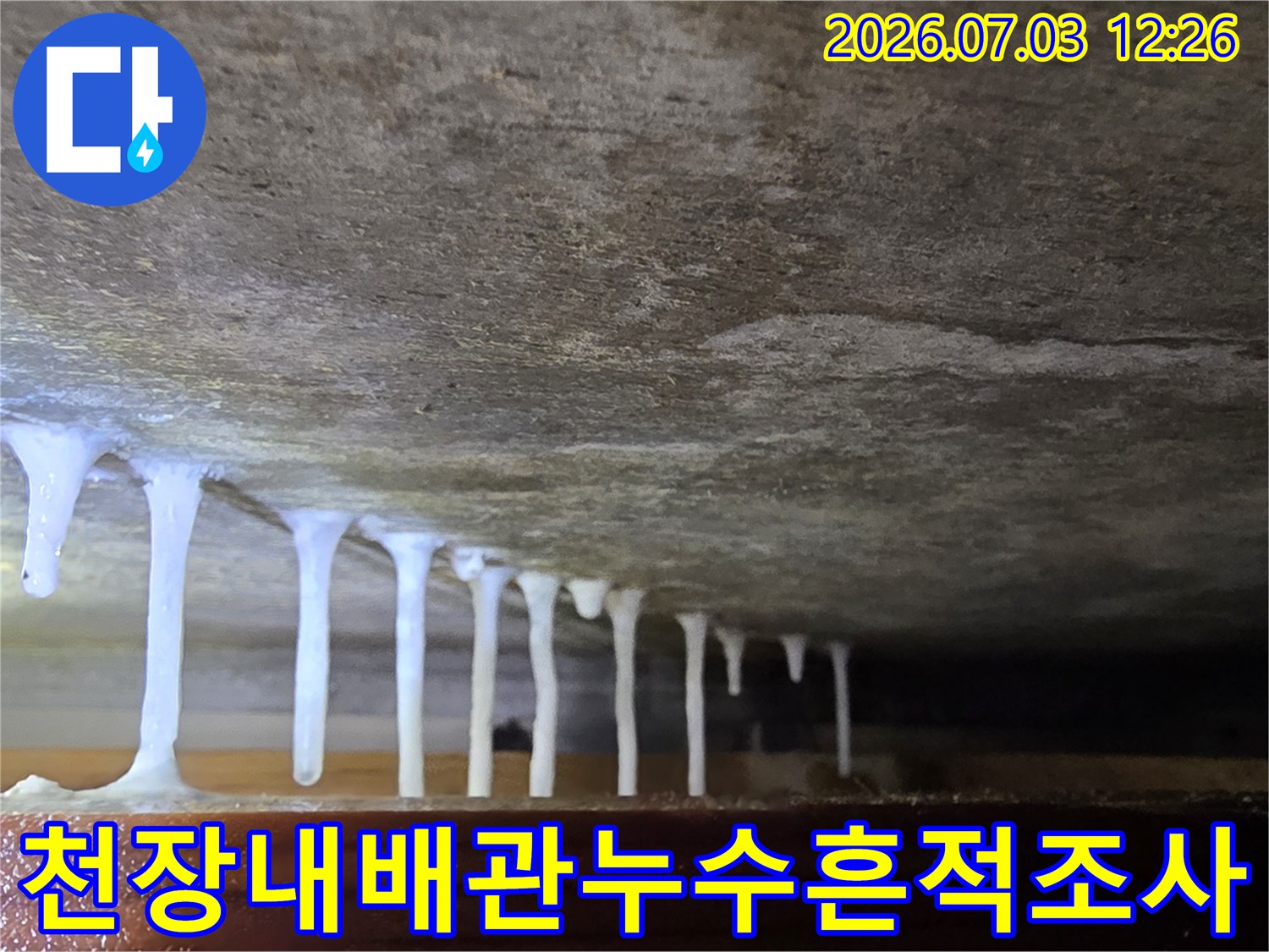천장 면에 형성된 고드름 모양의 백화 현상 조사 사진