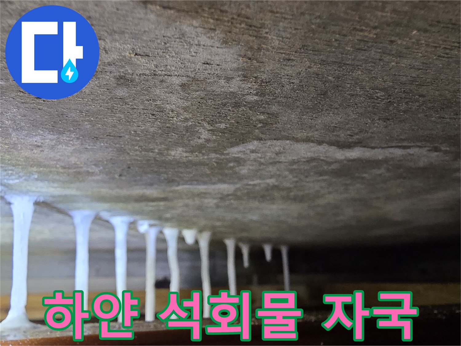 천장 슬래브-석회 성분이 굳어 내려온 모습