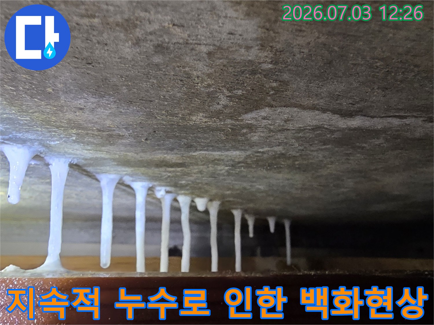 천장 안쪽에서 발견된 석회성분 고드름 형태의 누수 증거