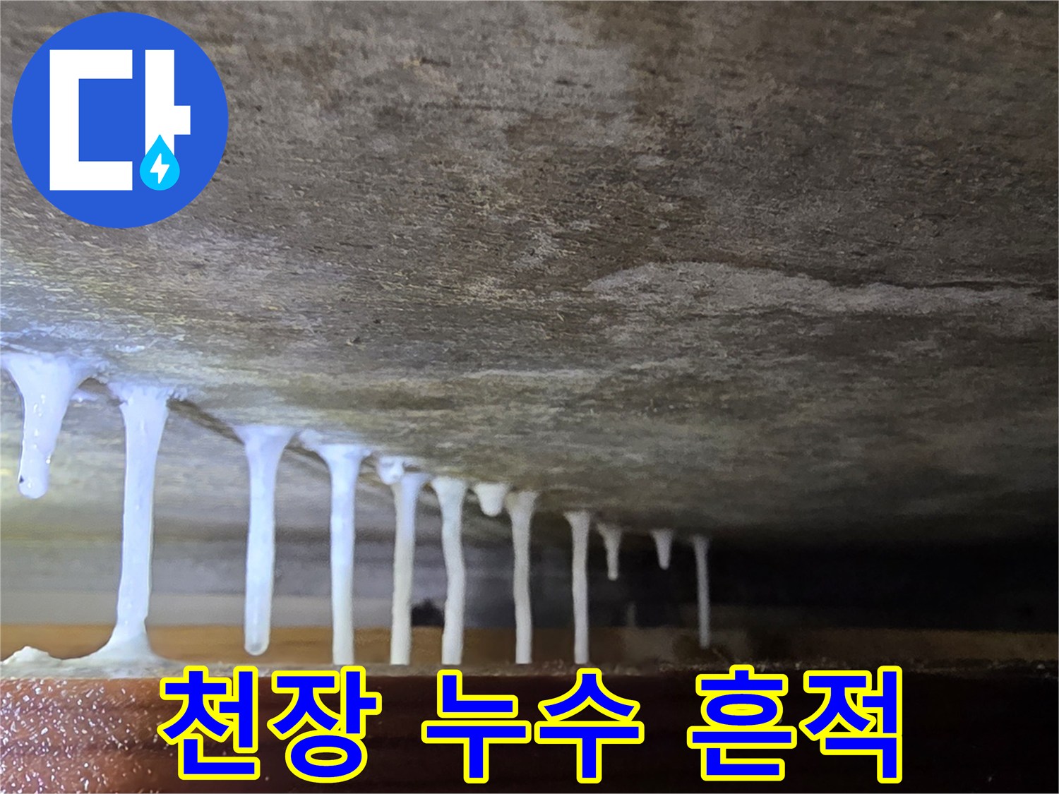천장 콘크리트 슬래브를 타고 내려온 하얀 석회물 줄기