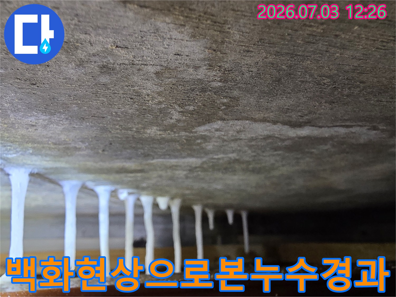 천장 콘크리트에 형성된 하얀색 고드름 모양의 백화 현상 기록