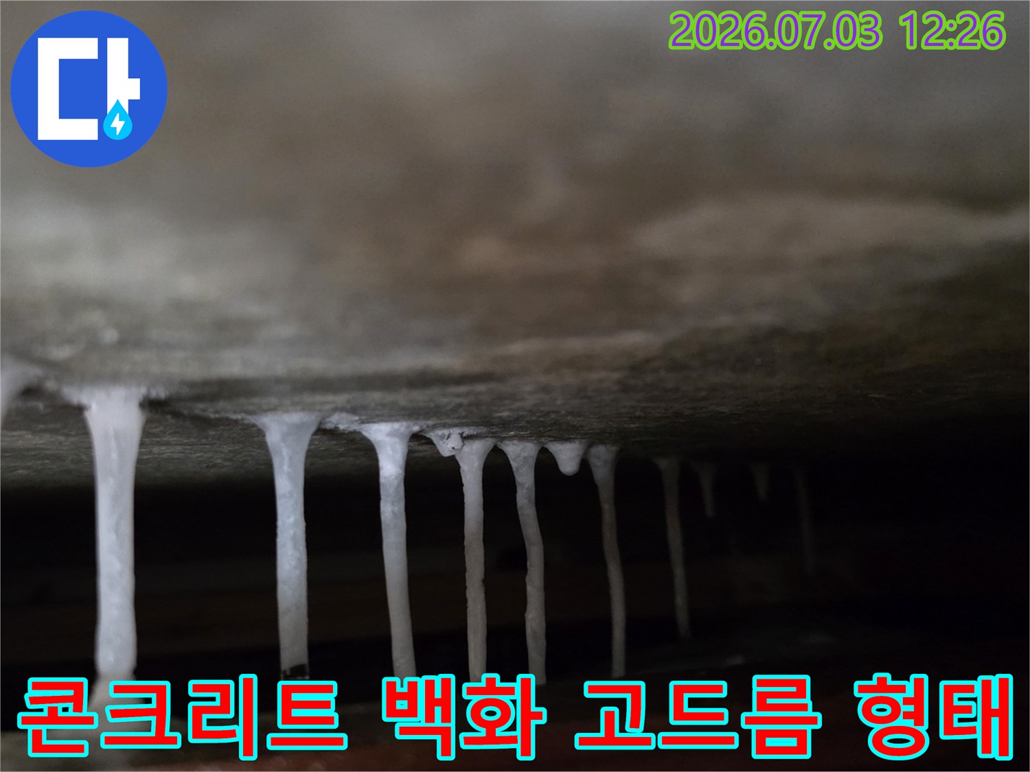 천장 콘크리트에서 발생한 백화 현상과 누수로 인한 변색 구간