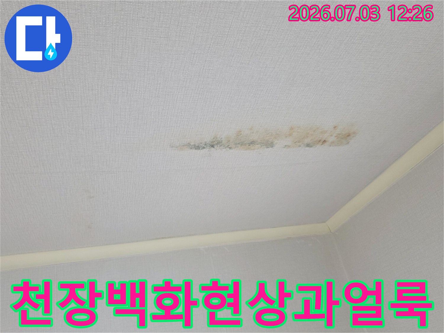 천장재질에 발생한 백화 현상과 누수 흔적