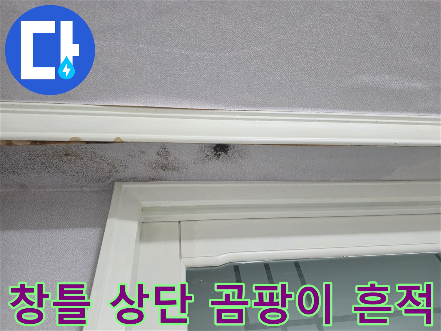 벽면 몰딩 부근-검은 곰팡이와 습기 자국