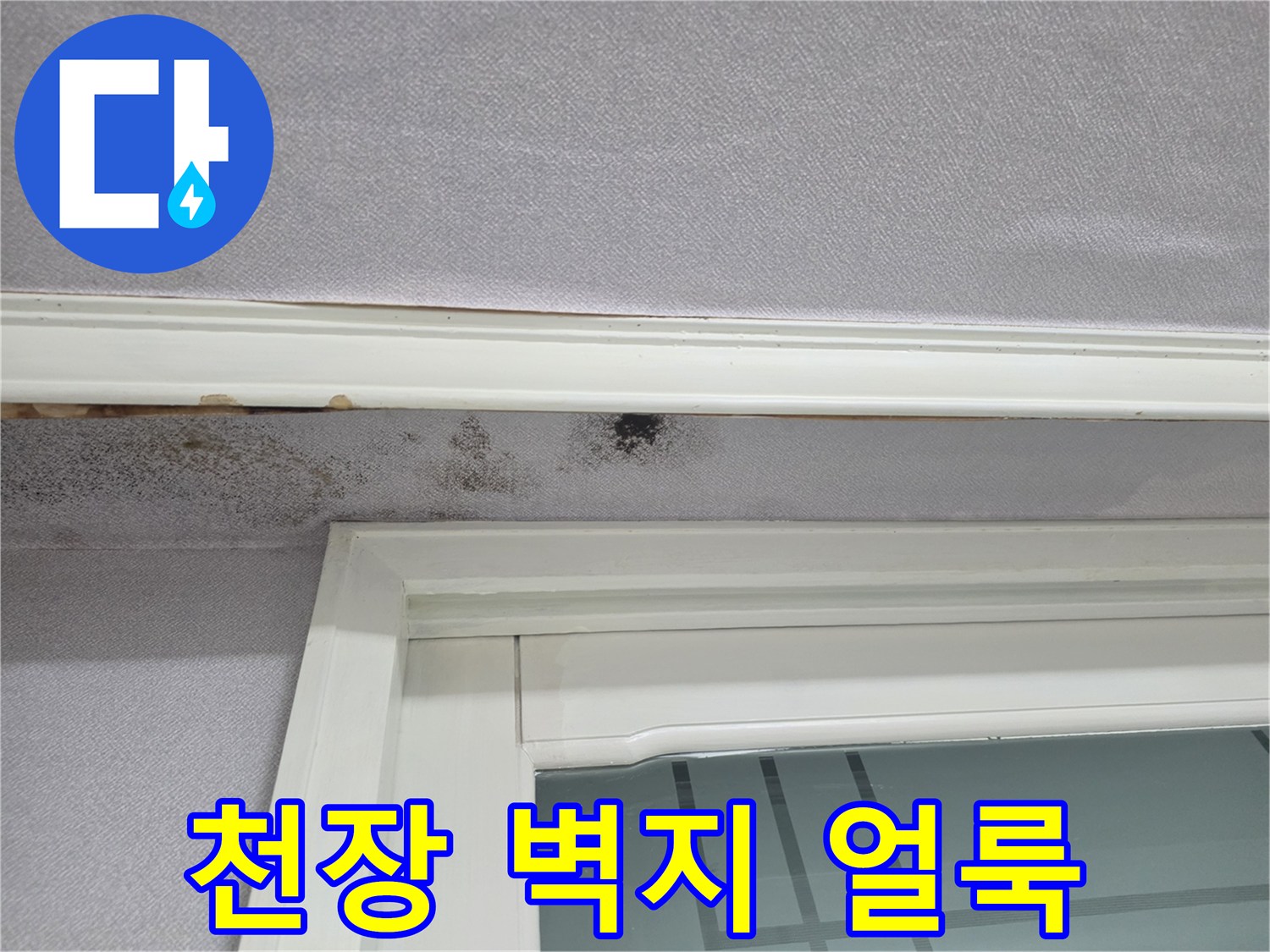 창문 위쪽-벽지 곰팡이와 물자국 현황