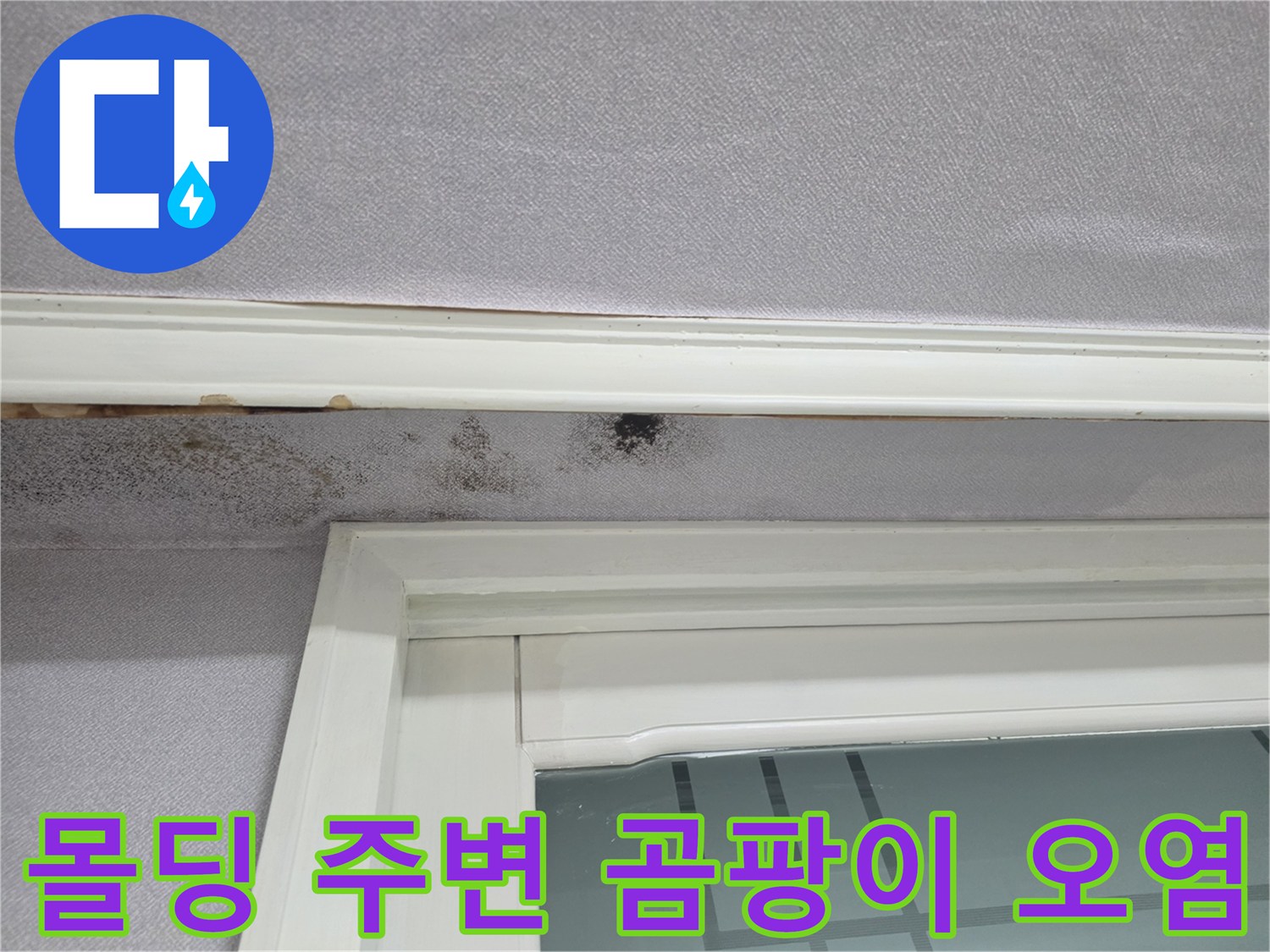 하얀색 몰딩과 회색 벽지 사이의 검은 곰팡이 발생