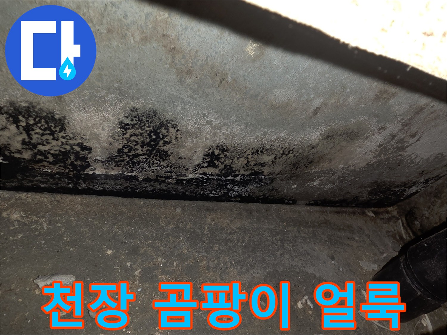 누수로 인해 검게 변색된 천장 마감재 부위