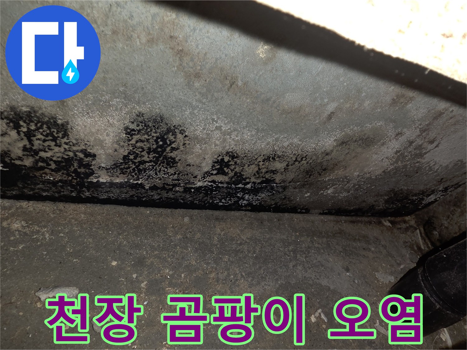누수로-인해-검게-변한-천장-마감재-표면