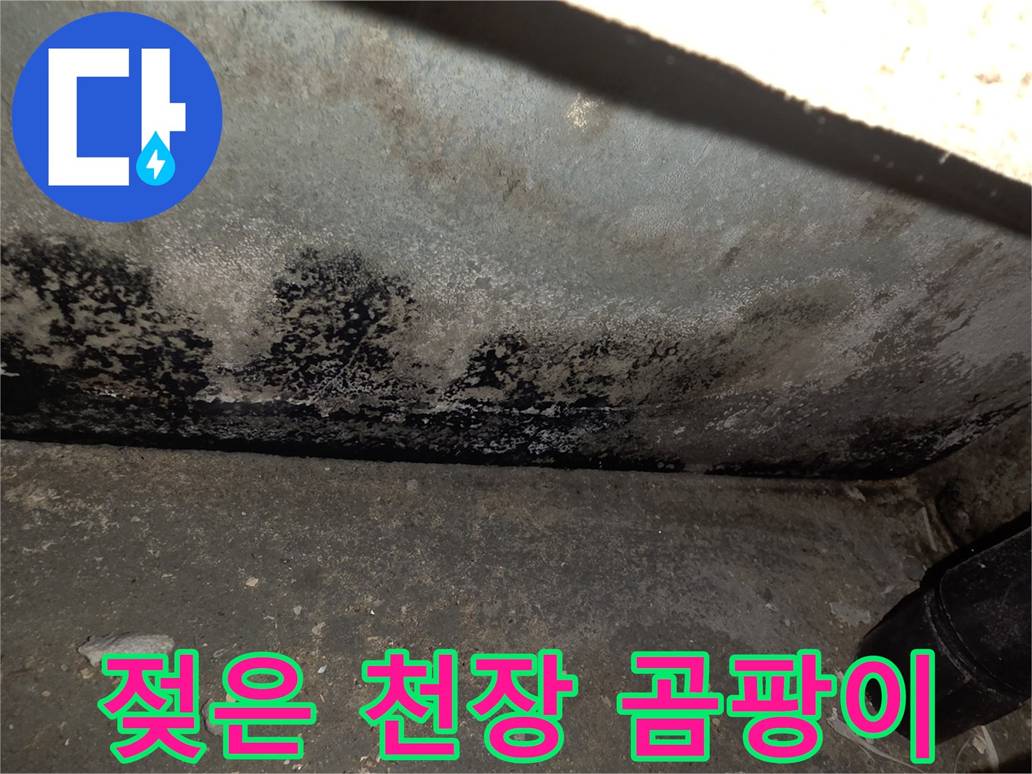 물샘-피해로-얼룩진-천장-마감재의-상태