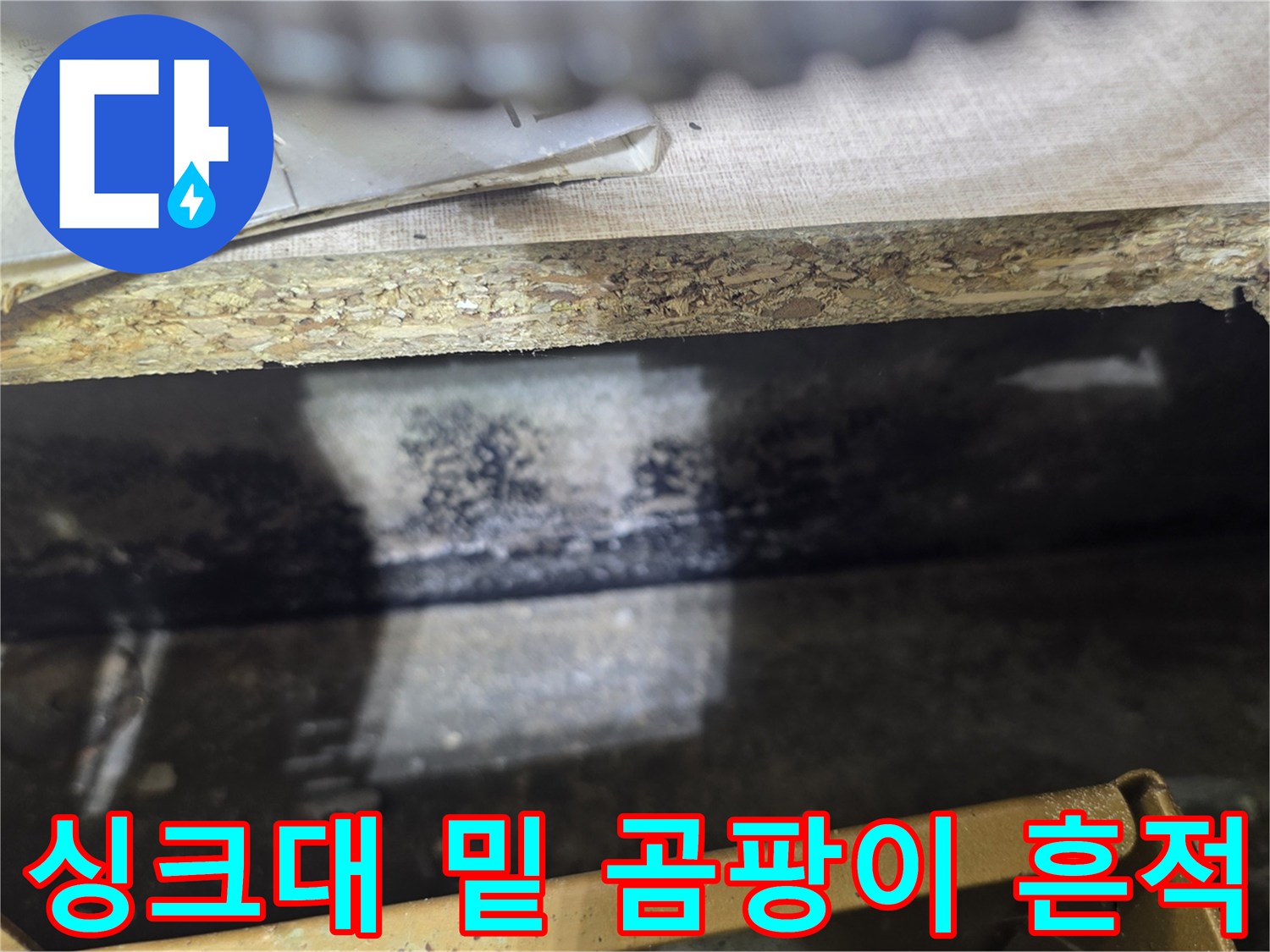 배관-주변의-물샘-흔적과-곰팡이-발생-부위