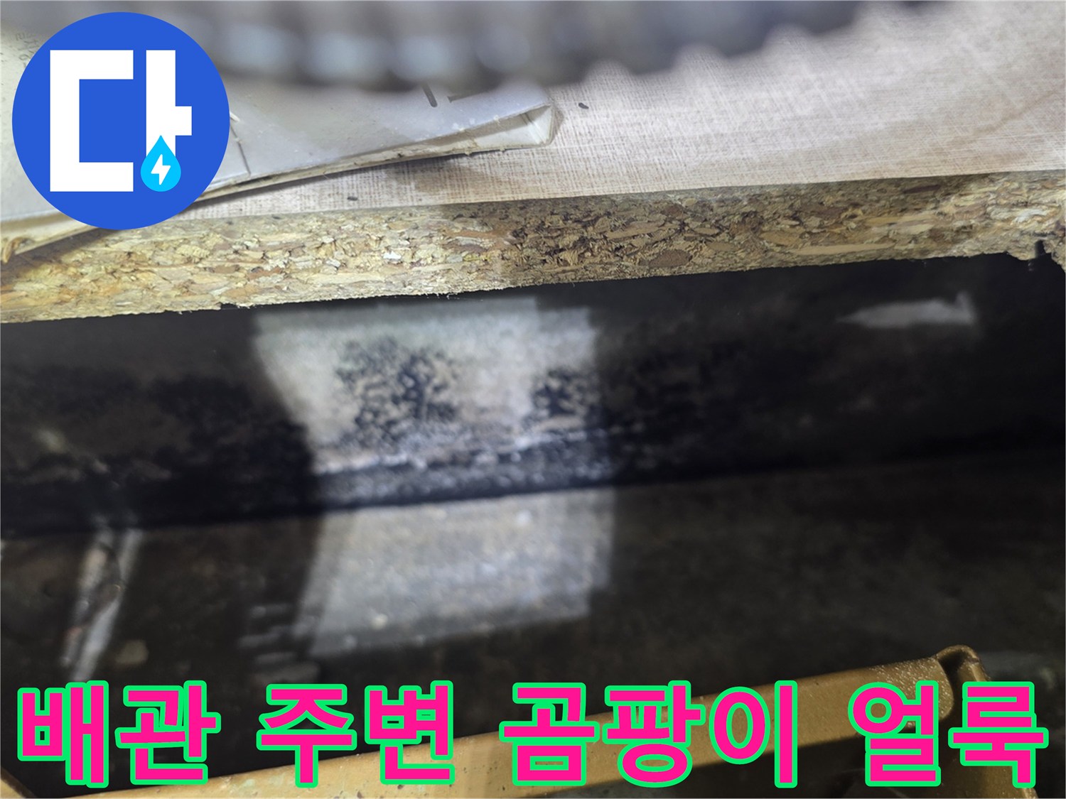 싱크대-하단-목재-부위의-곰팡이와-습기-흔적