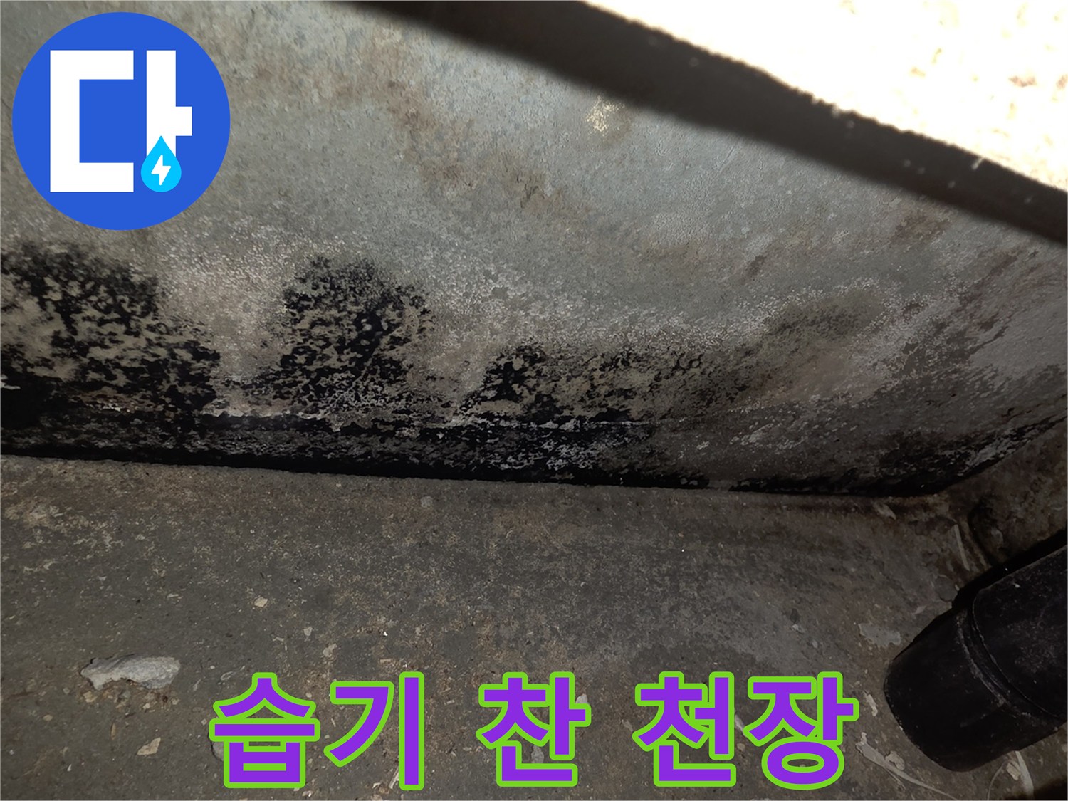 축축하게-젖어-있는-천장-마감재와-곰팡이
