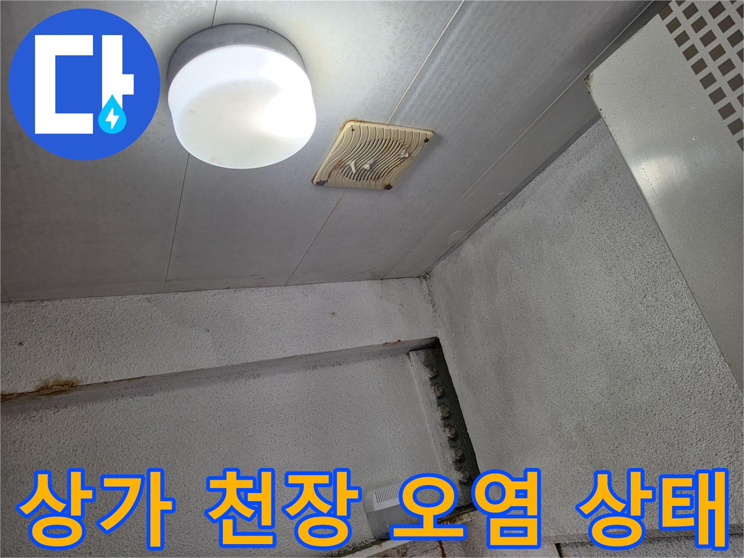 일산서구-상가건물-천장-누수-흔적-및-전등-상태