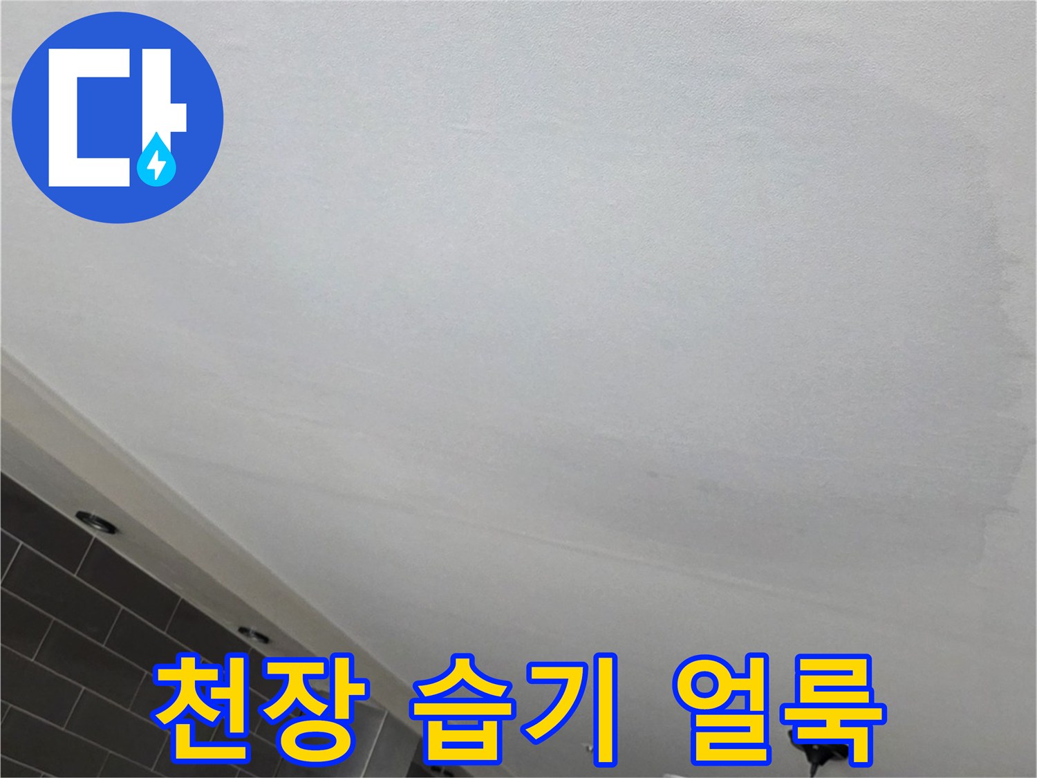 넓게 번진 천장의 누수 흔적