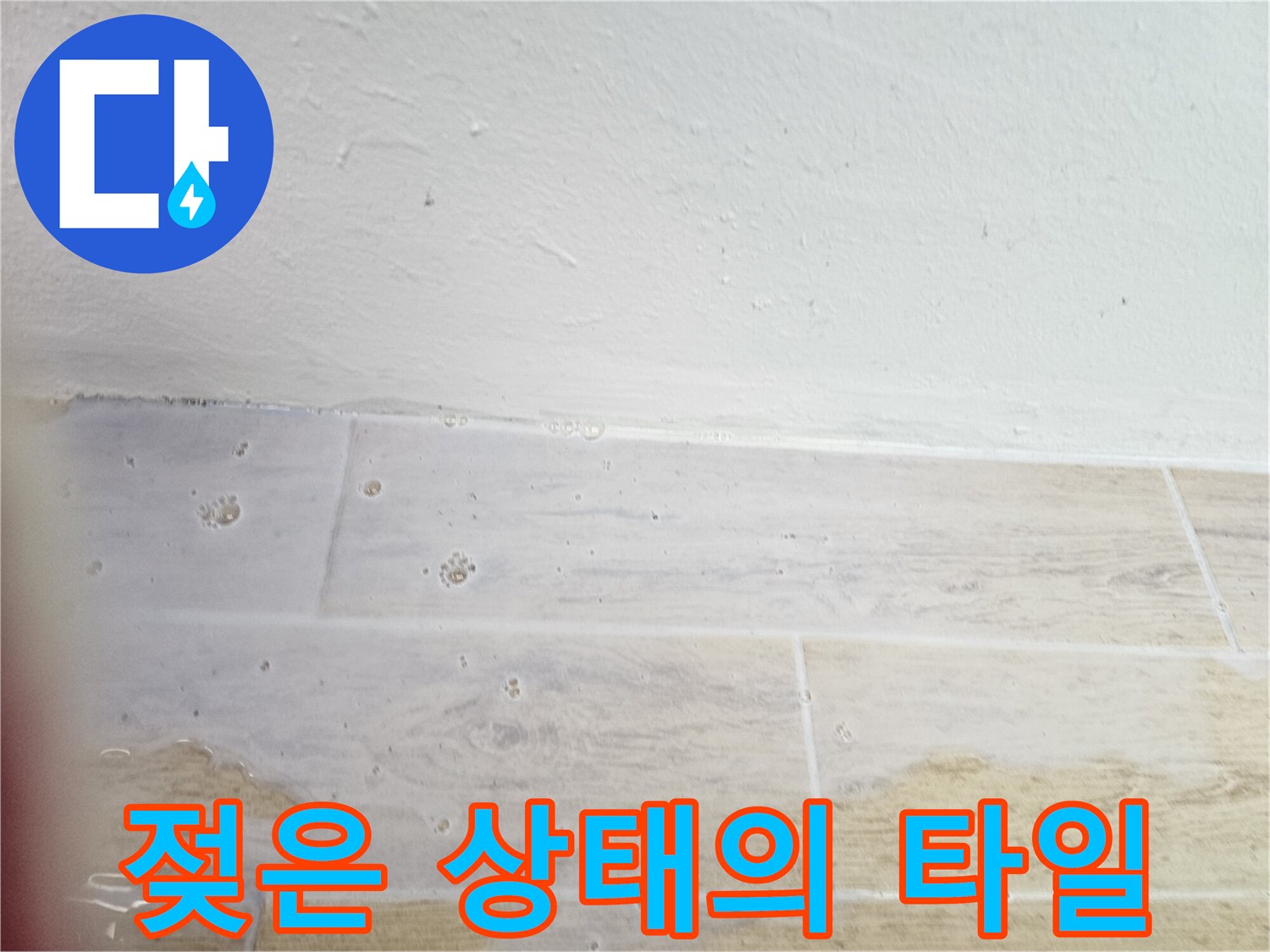물기에-젖어-변색이-진행된-타일-표면