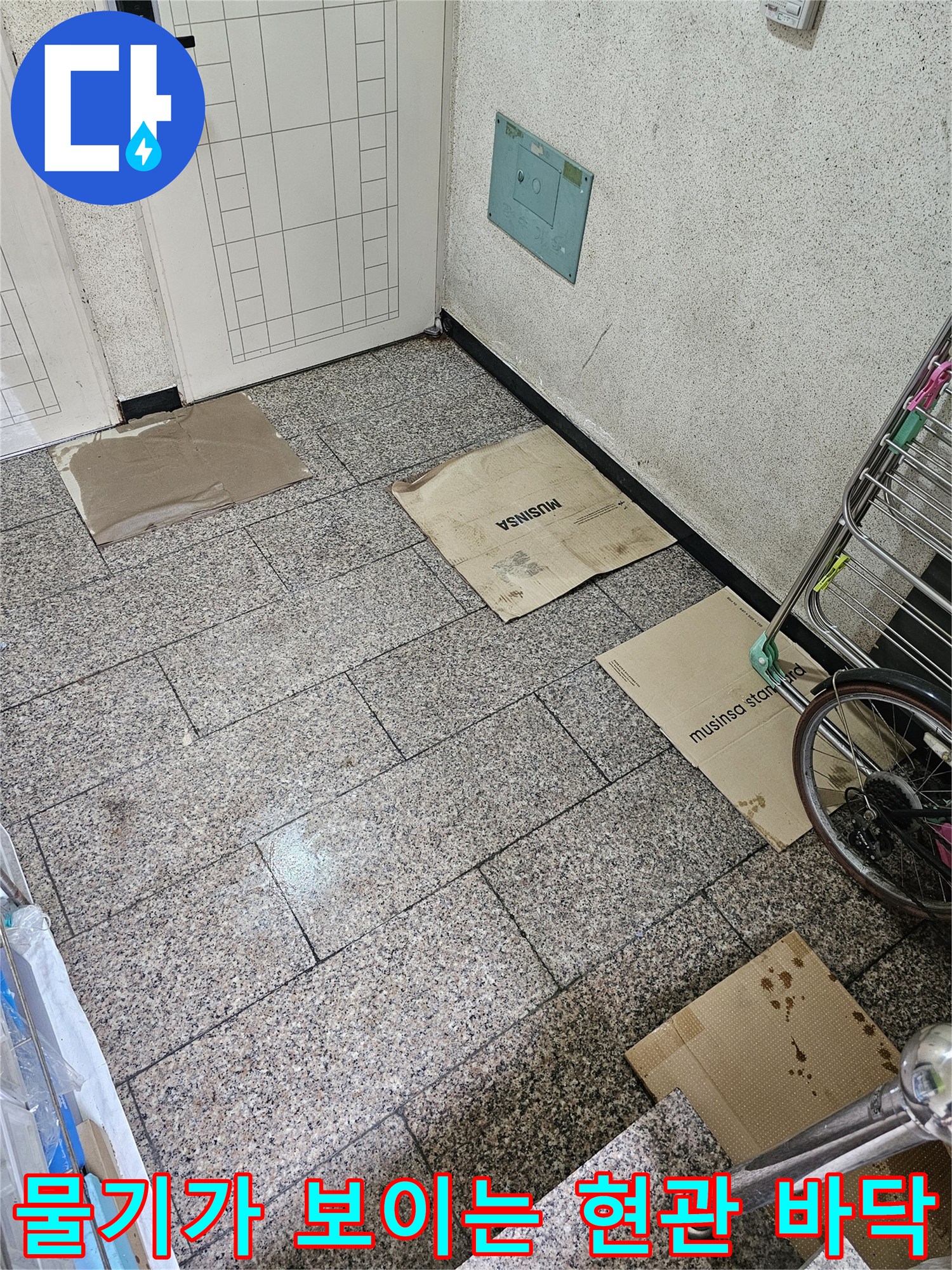 습기가 배어 나온 신정동 현관 타일 모습