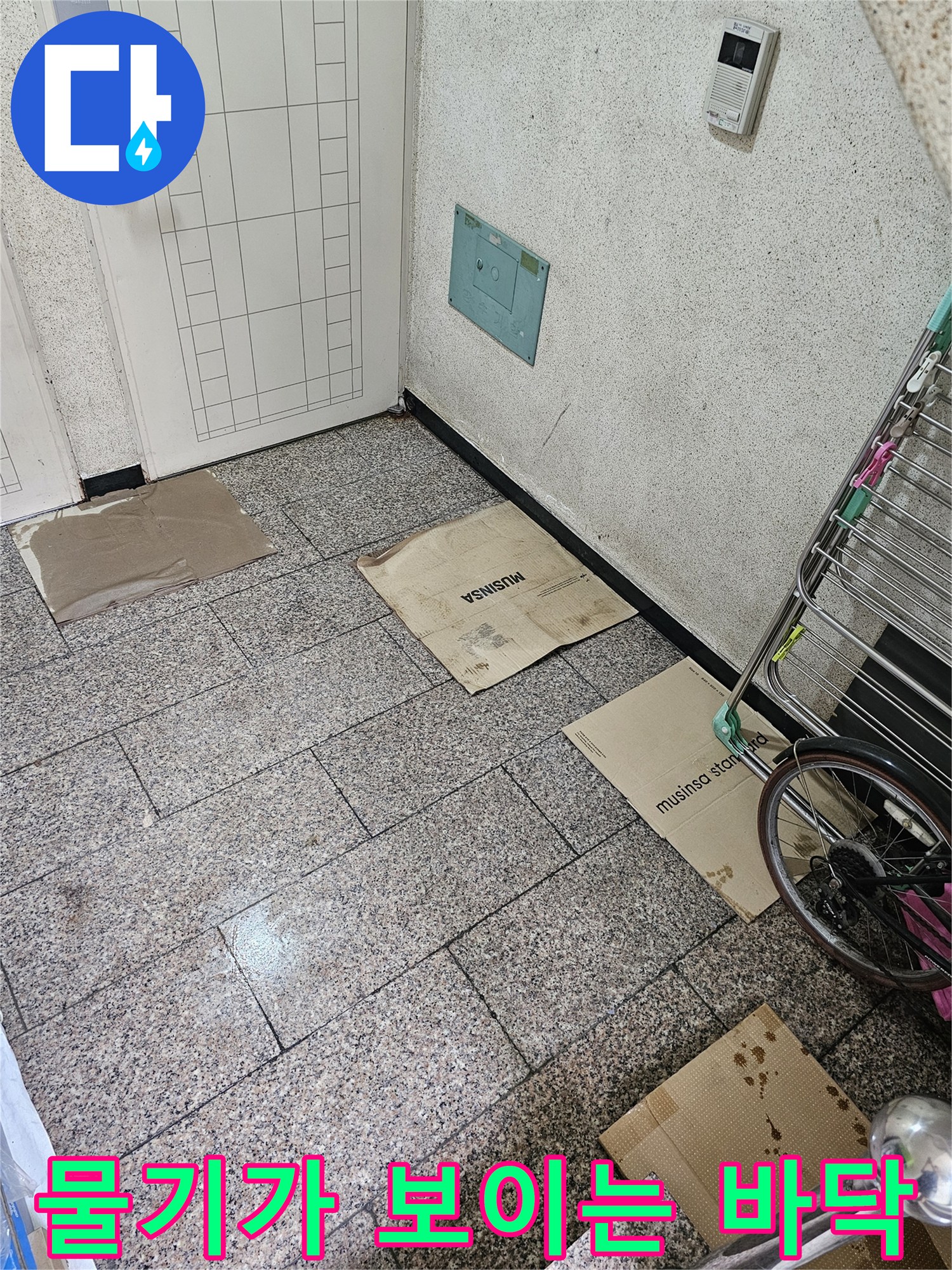 현관 입구 타일 사이로-물기가 올라오는 상태입니다.