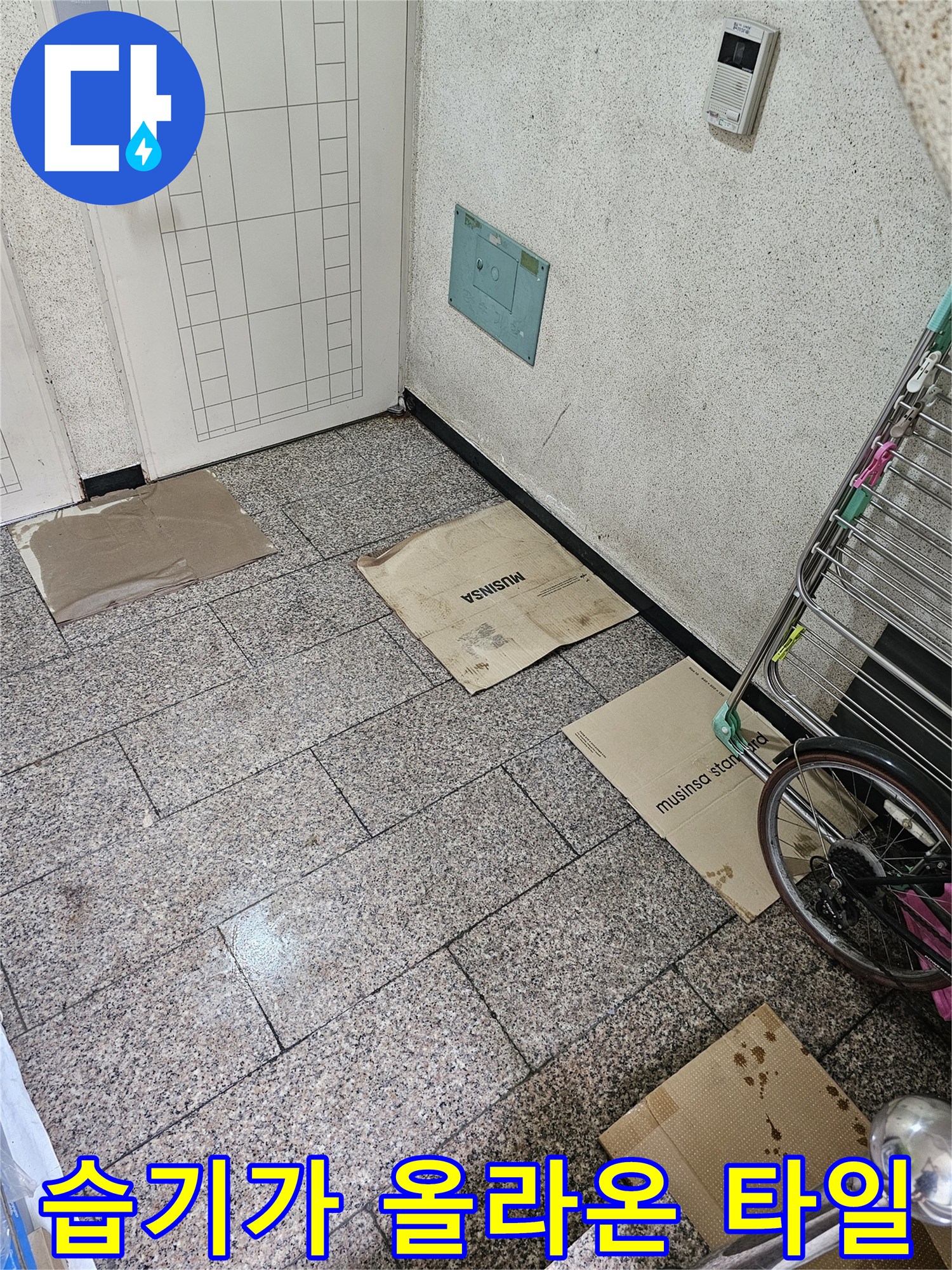 현관 입구 타일 틈새로-물기가 비치는 현장 사진입니다.