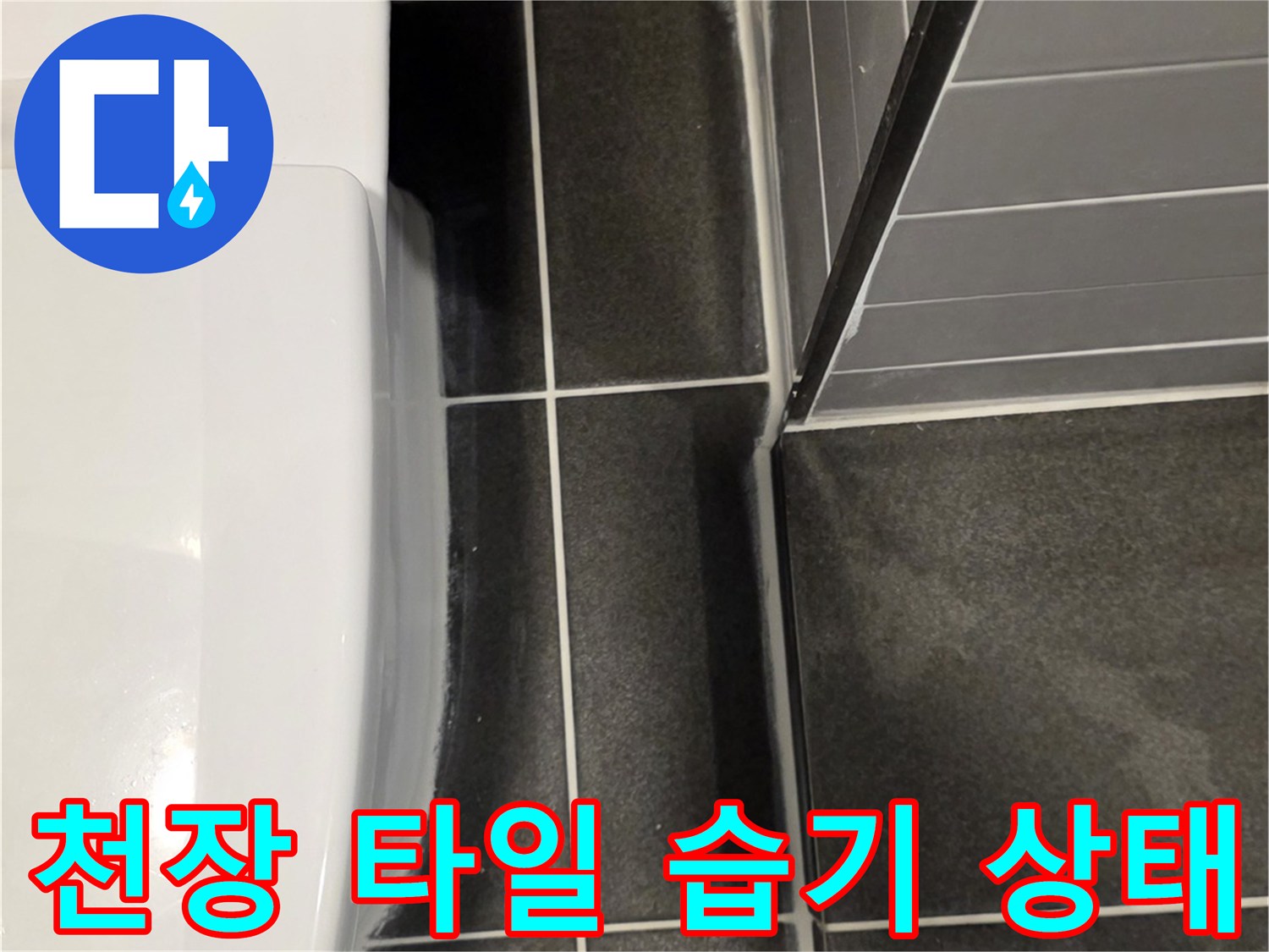 어두운 회색 타일-습기가 맺힌 천장 경계