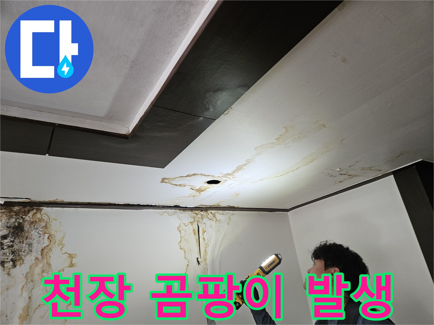 누수로 인해 변색된 천장과 벽면의 곰팡이 모습