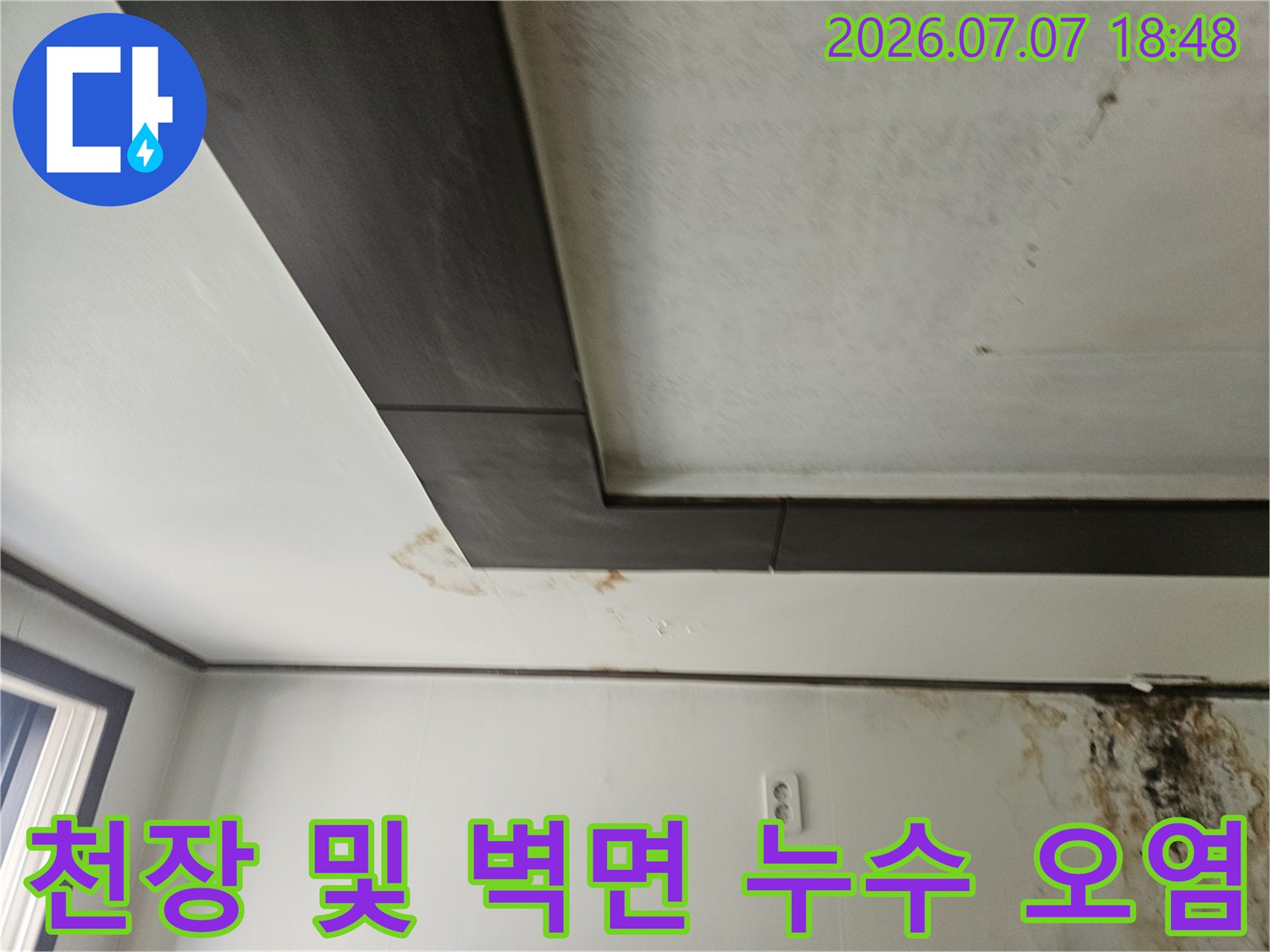 상부 구조물 주변의 곰팡이와 수분 침투 자국