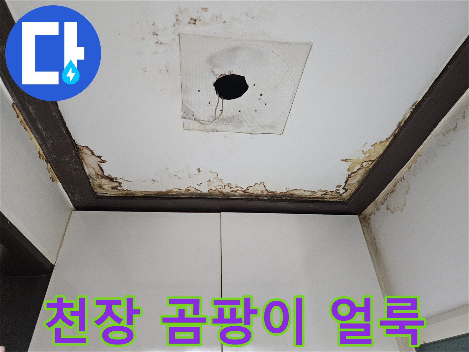 정릉동 아파트 천장-물샘으로 인한 심한 변색과 곰팡이 흔적