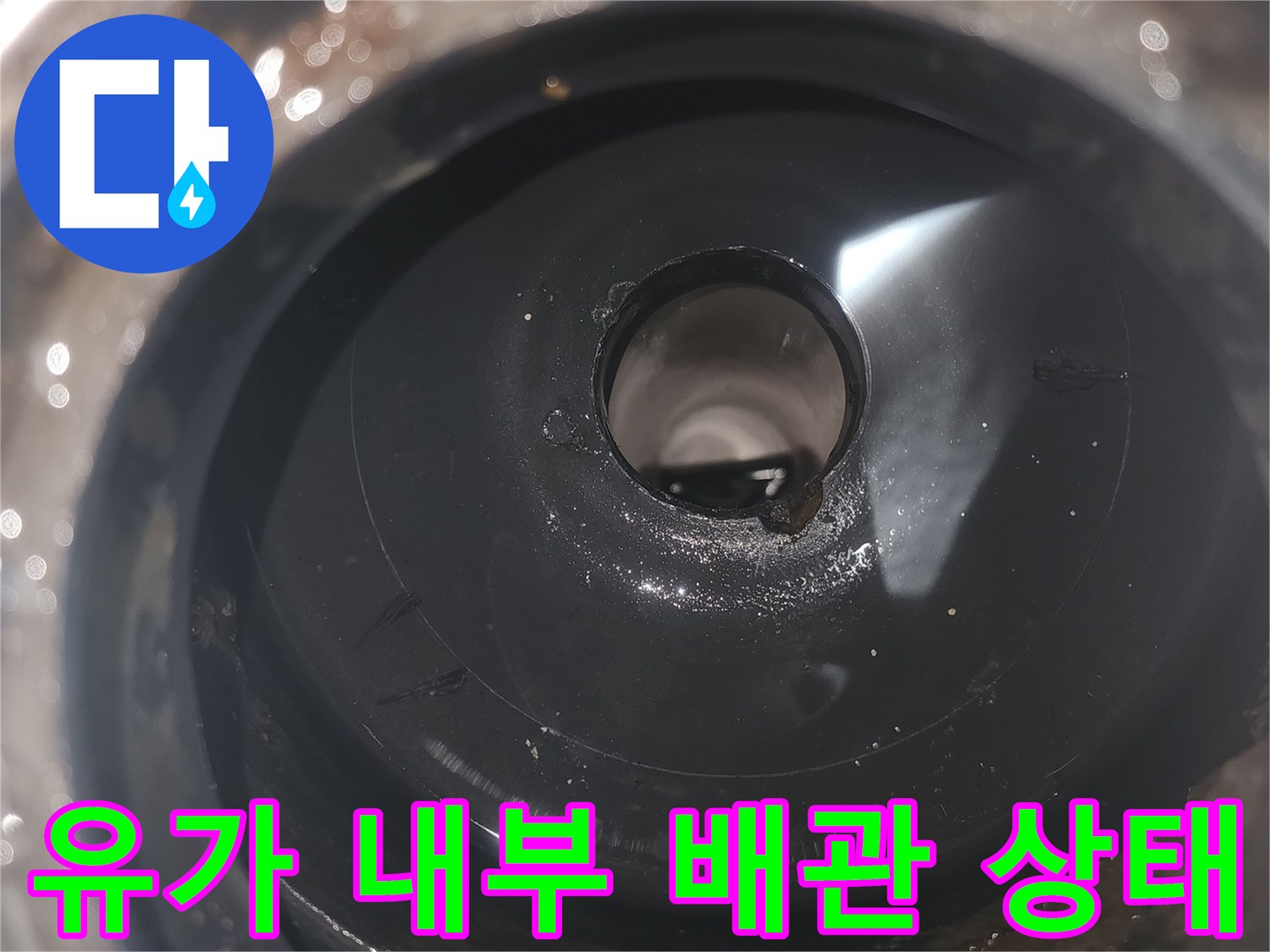배수구 안쪽-하수관 연결 부위의 습기 확인
