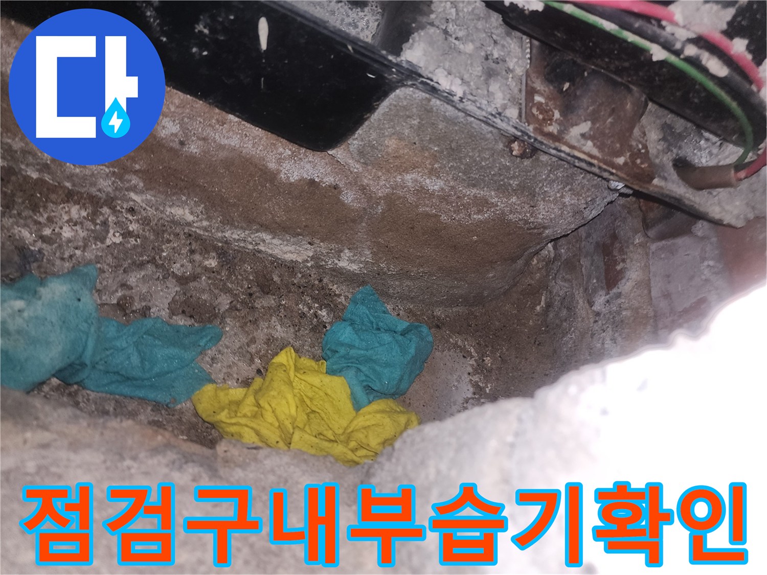 욕조 하단 점검구 안쪽의 젖은 마감재와 습기