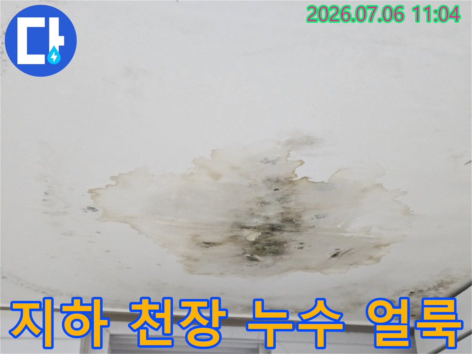곰팡이와 물자국으로 변색된 지하층의 천장 모습