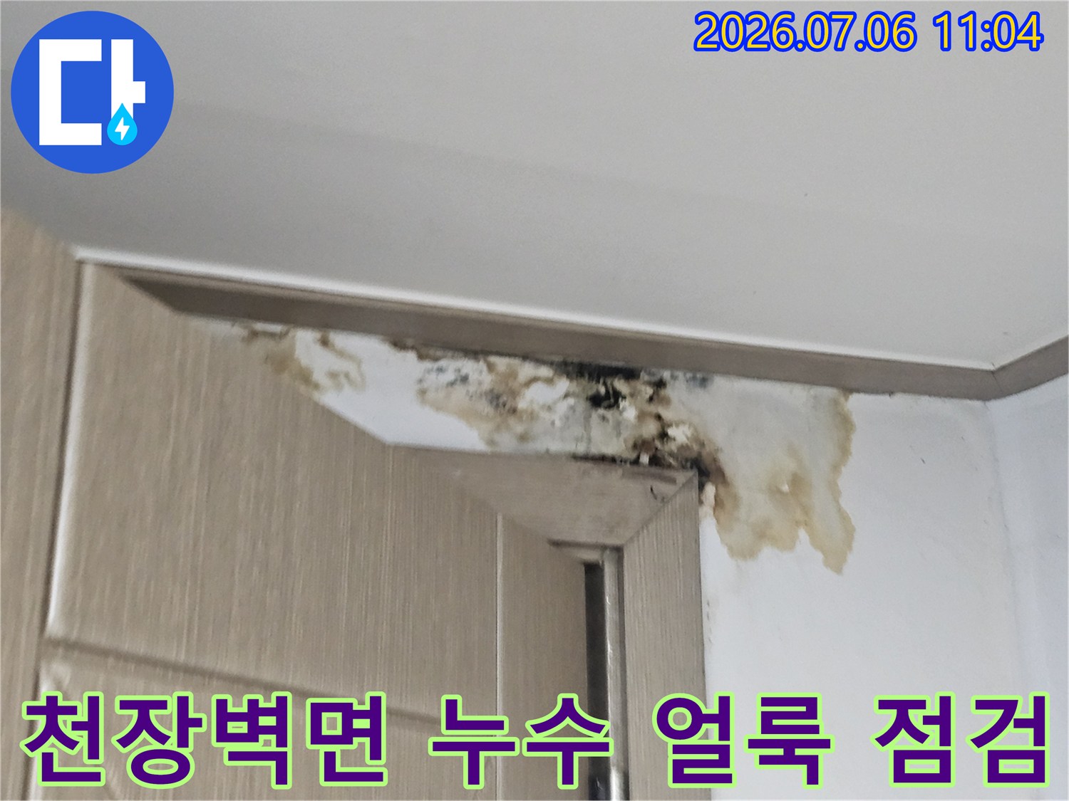 지하층 천장과 벽면에 발생한 누수 흔적 및 곰팡이 오염 부위
