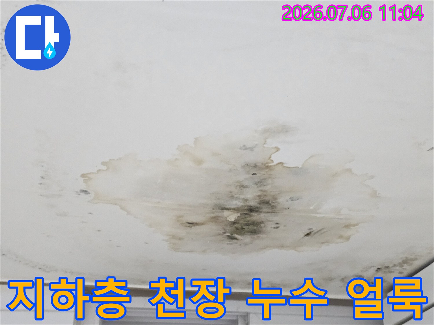 지하층 천장에 발생한 넓은 범위의 누수 물자국과 곰팡이 오염 상태