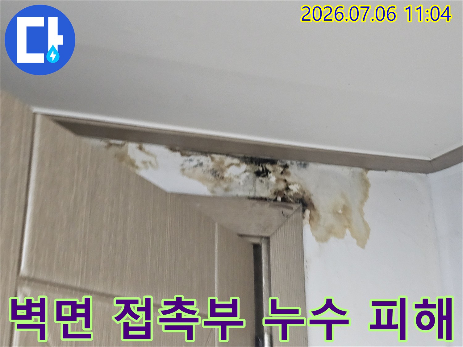 천장 모서리 벽체 경계부에 발생한 누수 얼룩 및 곰팡이 오염
